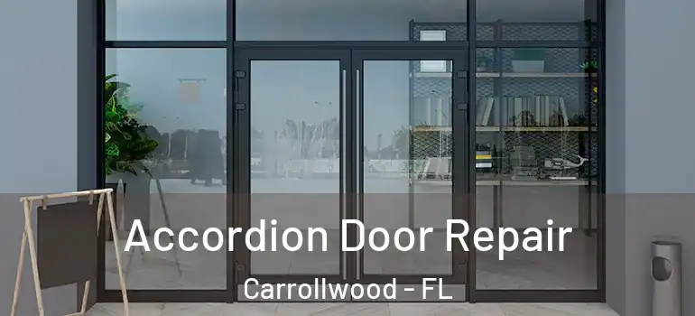 Accordion Door Repair Carrollwood - FL