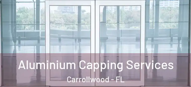 Aluminium Capping Services Carrollwood - FL