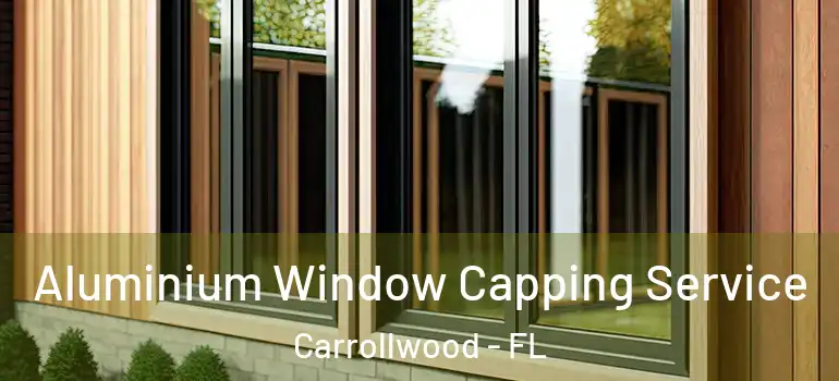 Aluminium Window Capping Service Carrollwood - FL