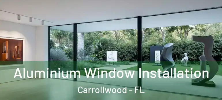 Aluminium Window Installation Carrollwood - FL