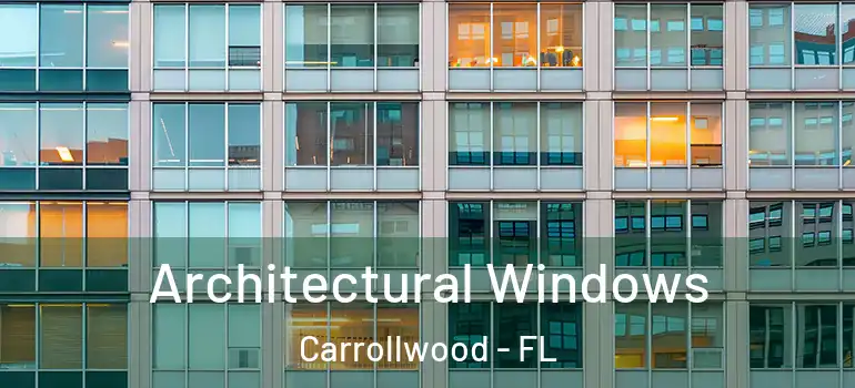 Architectural Windows Carrollwood - FL