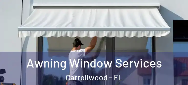 Awning Window Services Carrollwood - FL