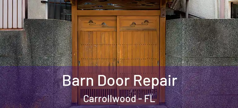 Barn Door Repair Carrollwood - FL