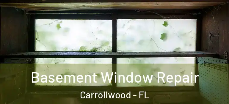 Basement Window Repair Carrollwood - FL