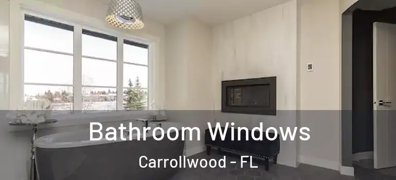 Bathroom Windows Carrollwood - FL