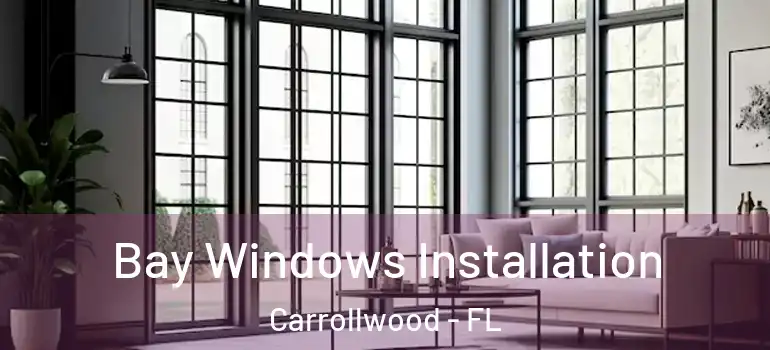 Bay Windows Installation Carrollwood - FL