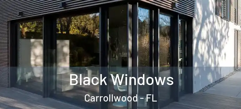 Black Windows Carrollwood - FL
