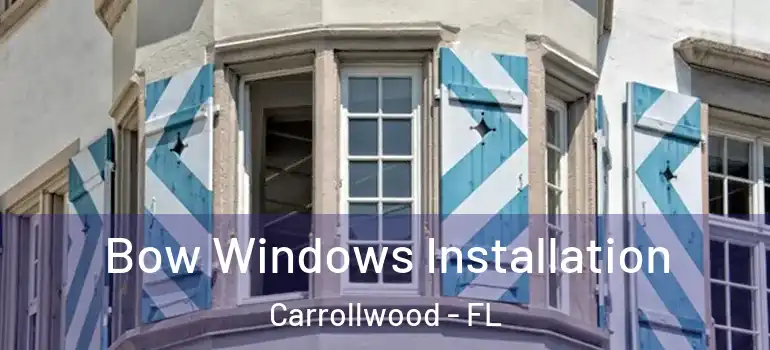 Bow Windows Installation Carrollwood - FL