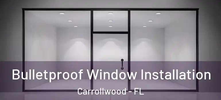 Bulletproof Window Installation Carrollwood - FL