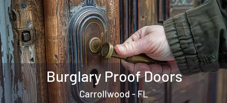 Burglary Proof Doors Carrollwood - FL