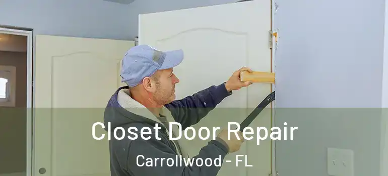 Closet Door Repair Carrollwood - FL