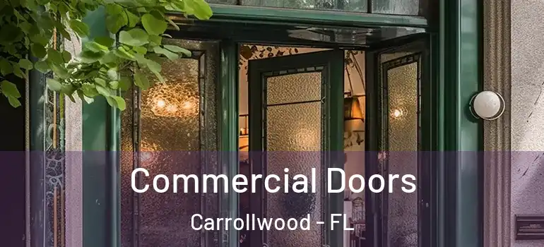 Commercial Doors Carrollwood - FL