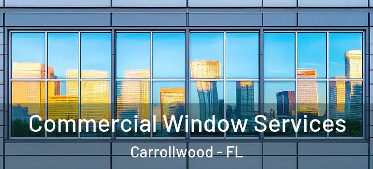 Commercial Window Services Carrollwood - FL