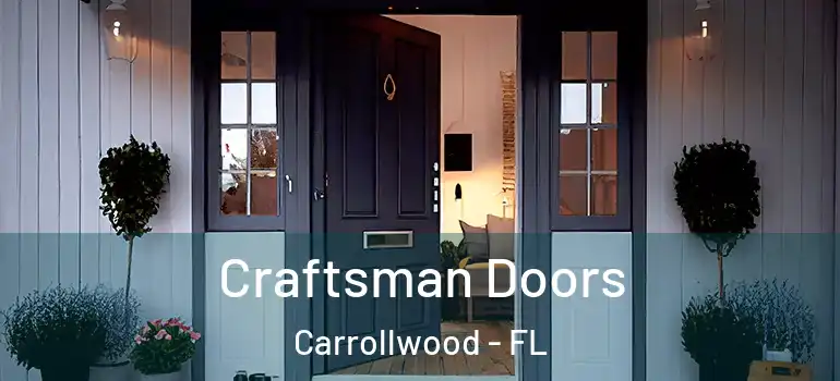 Craftsman Doors Carrollwood - FL