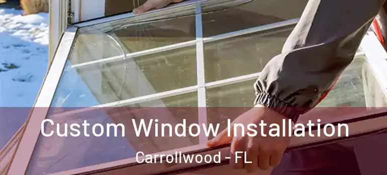 Custom Window Installation Carrollwood - FL