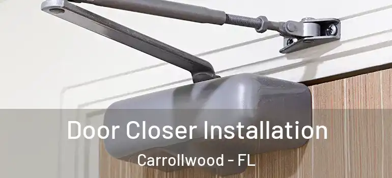 Door Closer Installation Carrollwood - FL