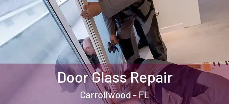 Door Glass Repair Carrollwood - FL