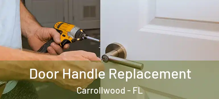 Door Handle Replacement Carrollwood - FL