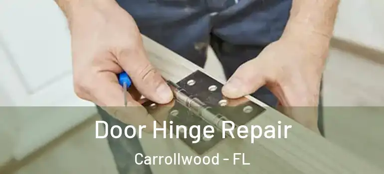 Door Hinge Repair Carrollwood - FL