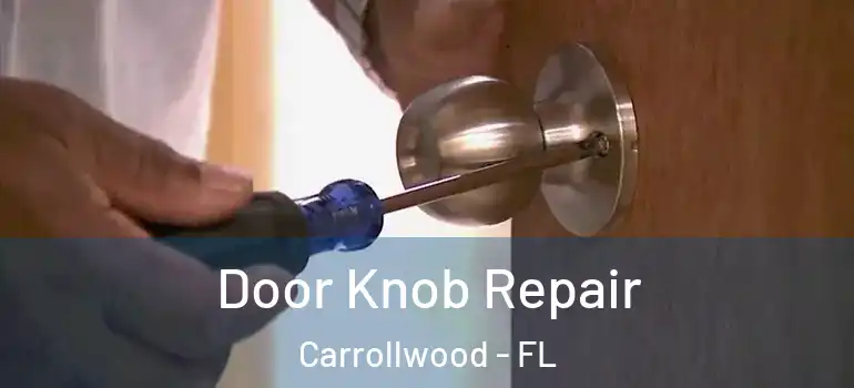 Door Knob Repair Carrollwood - FL