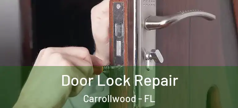 Door Lock Repair Carrollwood - FL