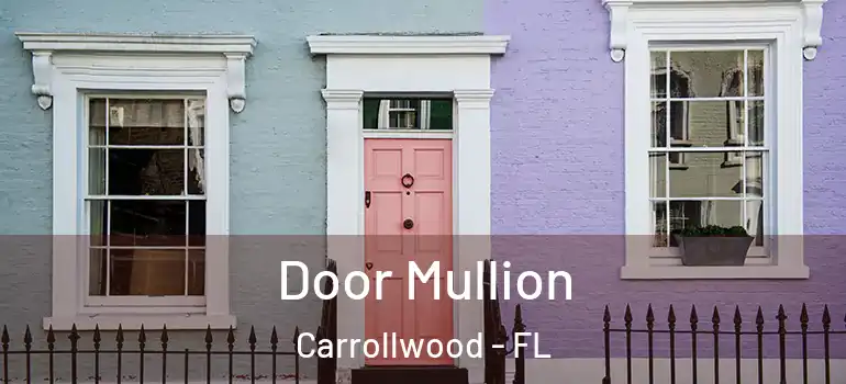 Door Mullion Carrollwood - FL