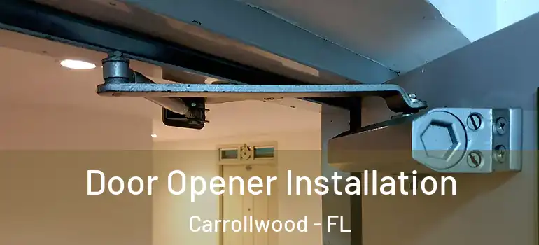Door Opener Installation Carrollwood - FL