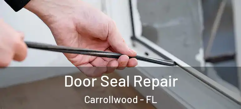 Door Seal Repair Carrollwood - FL