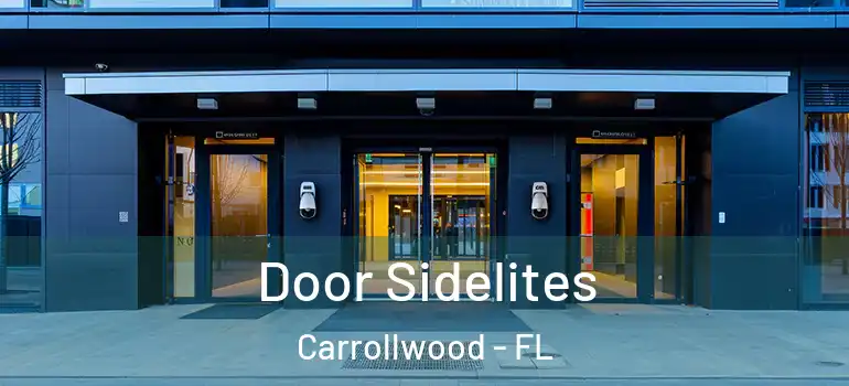 Door Sidelites Carrollwood - FL