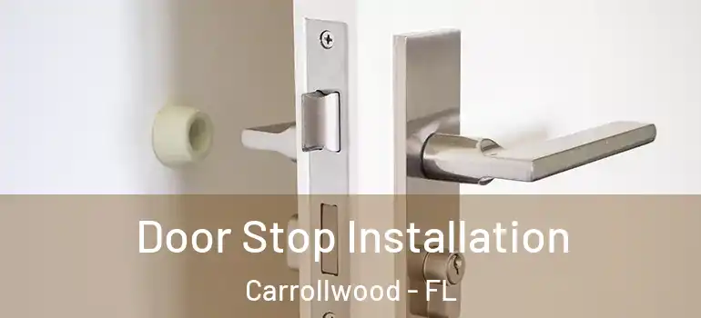 Door Stop Installation Carrollwood - FL