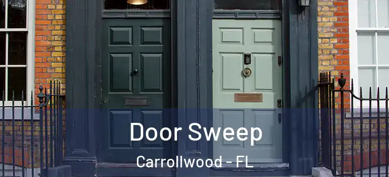 Door Sweep Carrollwood - FL