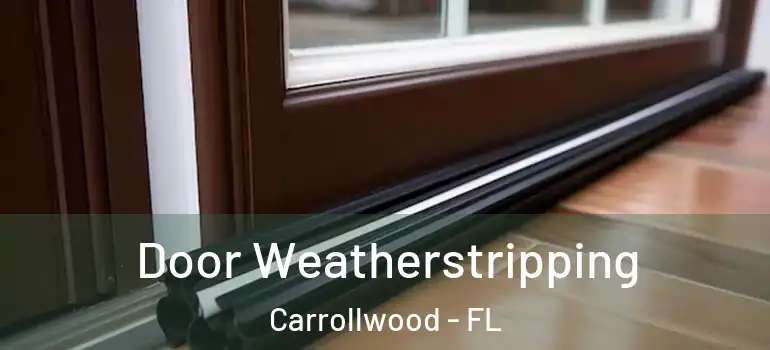 Door Weatherstripping Carrollwood - FL