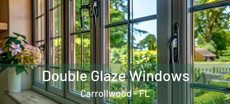 Double Glaze Windows Carrollwood - FL