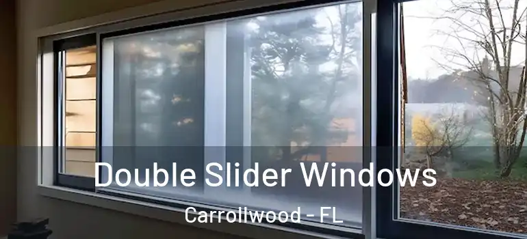 Double Slider Windows Carrollwood - FL