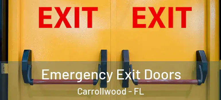 Emergency Exit Doors Carrollwood - FL