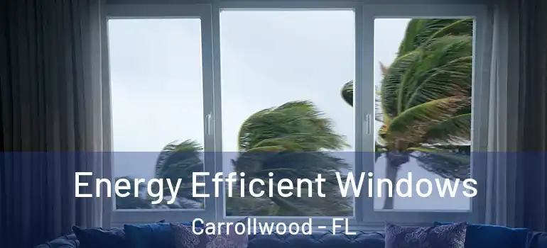 Energy Efficient Windows Carrollwood - FL