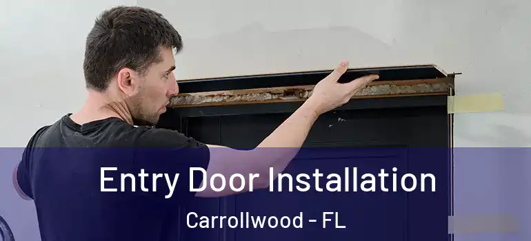 Entry Door Installation Carrollwood - FL