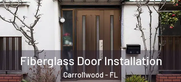 Fiberglass Door Installation Carrollwood - FL
