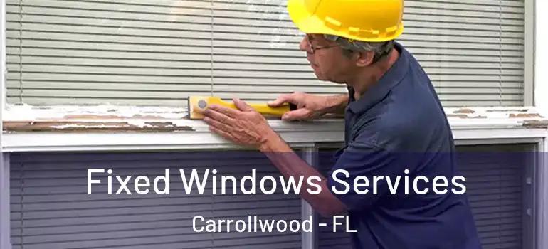 Fixed Windows Services Carrollwood - FL