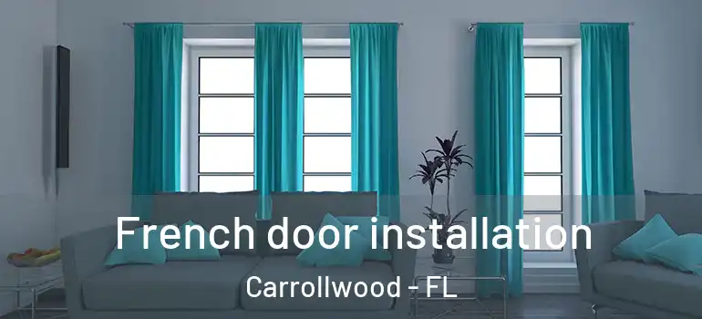 French door installation Carrollwood - FL