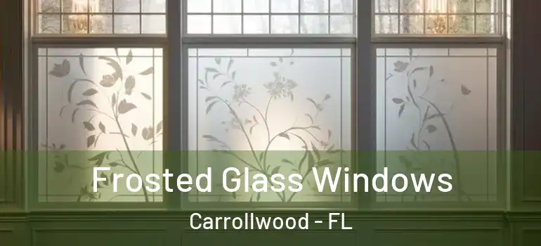 Frosted Glass Windows Carrollwood - FL