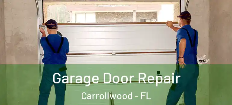 Garage Door Repair Carrollwood - FL