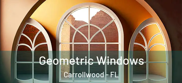 Geometric Windows Carrollwood - FL