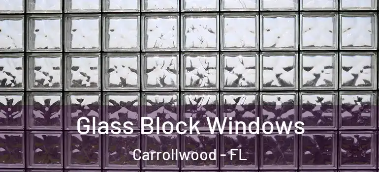 Glass Block Windows Carrollwood - FL