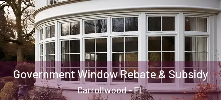 Government Window Rebate & Subsidy Carrollwood - FL