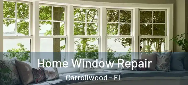 Home Window Repair Carrollwood - FL