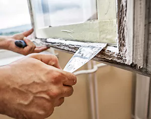 Professional Door and Windows Installation in Carrollwood, FL