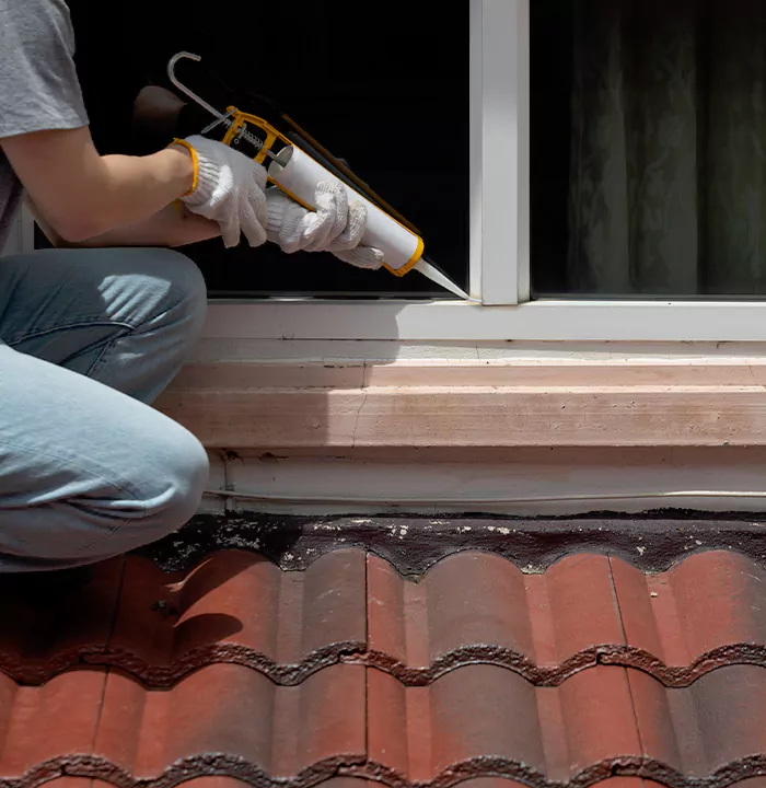 Roof Window Services in Carrollwood, Florida