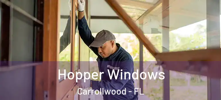 Hopper Windows Carrollwood - FL