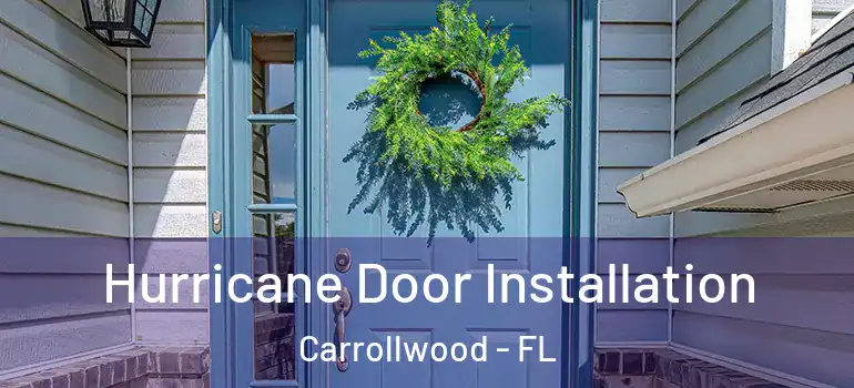 Hurricane Door Installation Carrollwood - FL